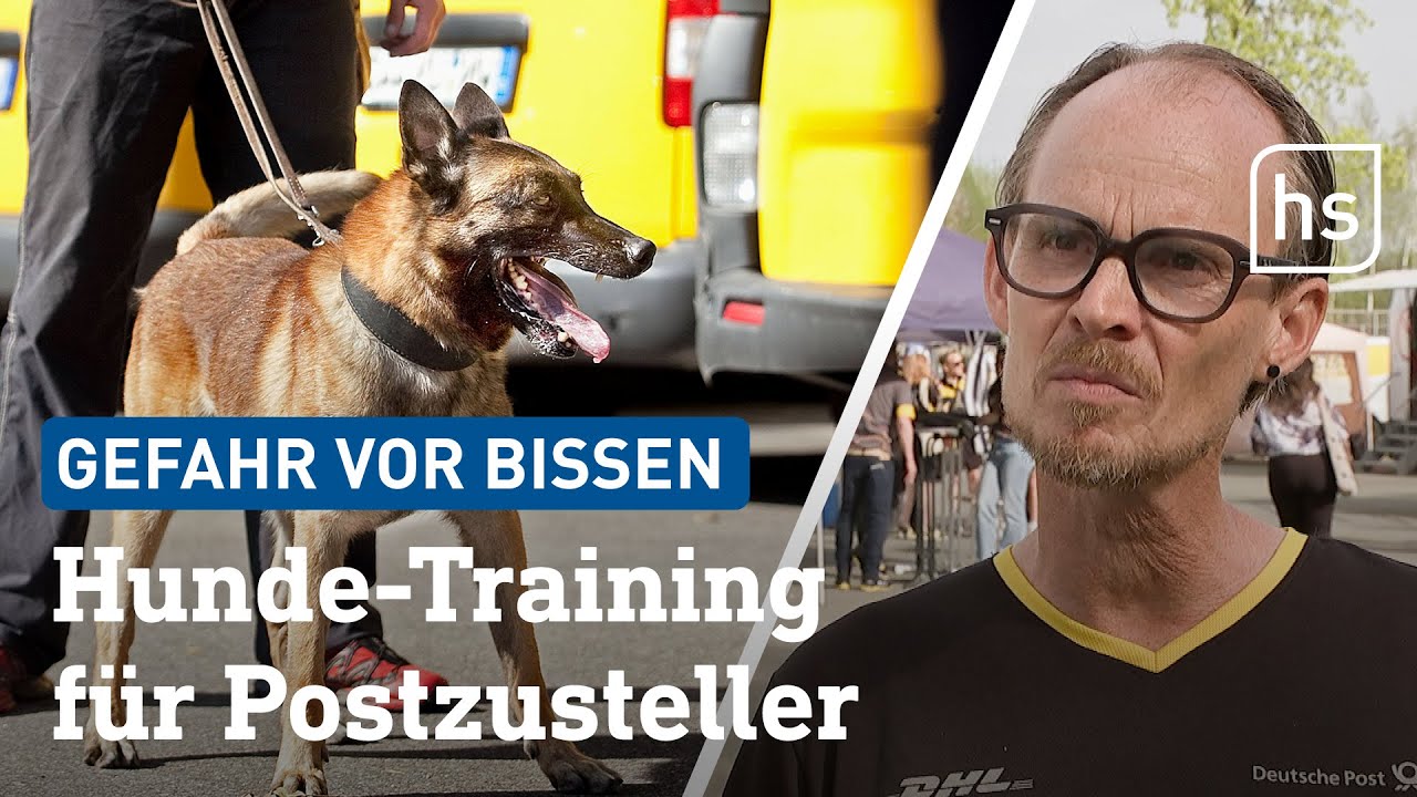 Hundeangriffe: Postboten lernen sich zu schützen | hessenschau