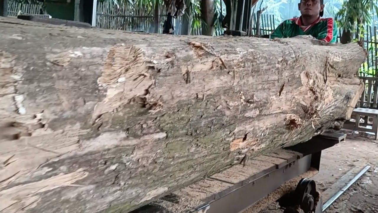 The process of turning large trees into sheets with beautiful grain in the wood
