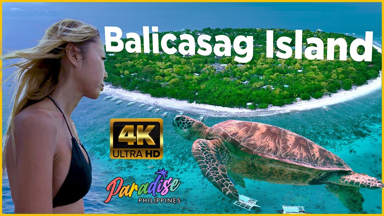 The turtles and the fishes, the island's riches | Balicasag Island, Bohol | Paradise Philippines