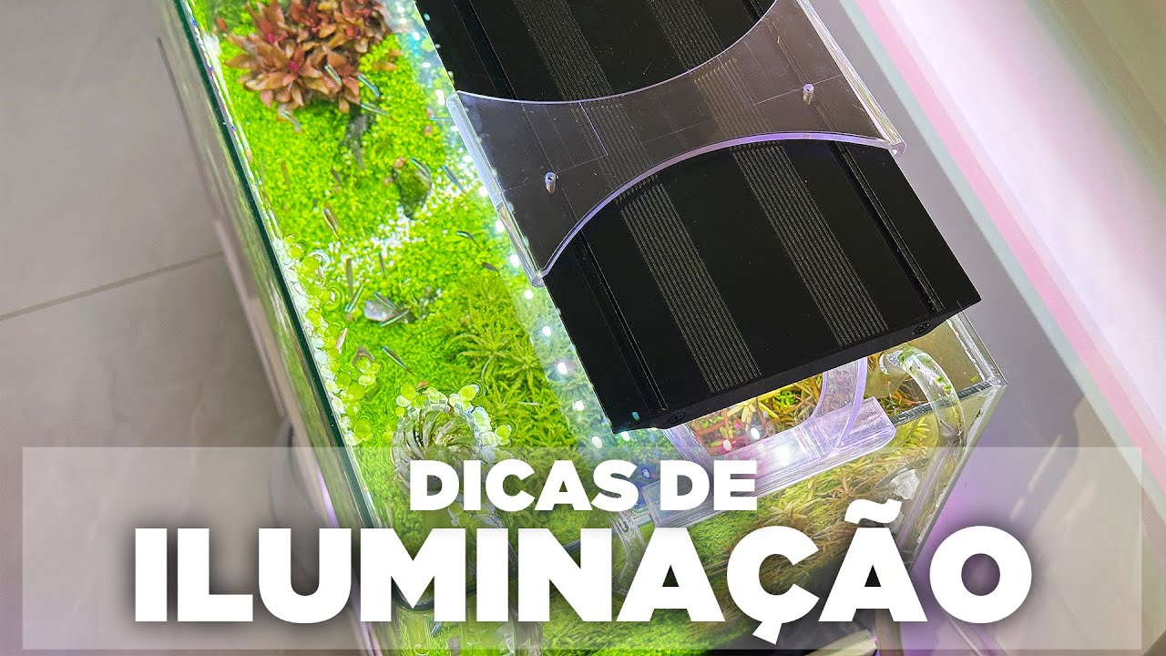 QUAL LUMINÁRIA ESCOLHER NO SEU AQUÁRIO PLANTADO (DICAS SOBRE ILUMINAÇÃO)