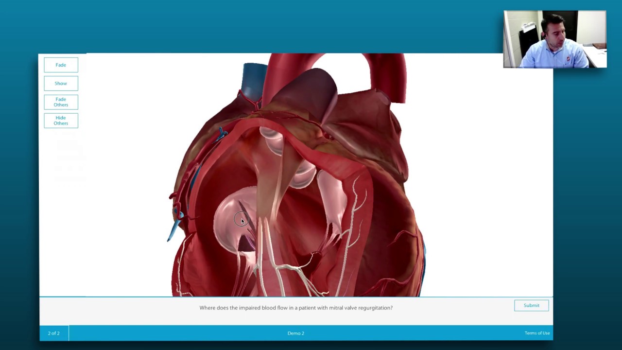 Visible Body | Teaching a cadaver lab with 3D anatomy models | Professor Tomer Kanan (Part 1)
