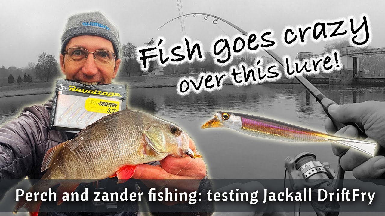 FISH goes CRAZY over this lure! Perch & zander fishing with Jackall Drift Fry and River fishing rig