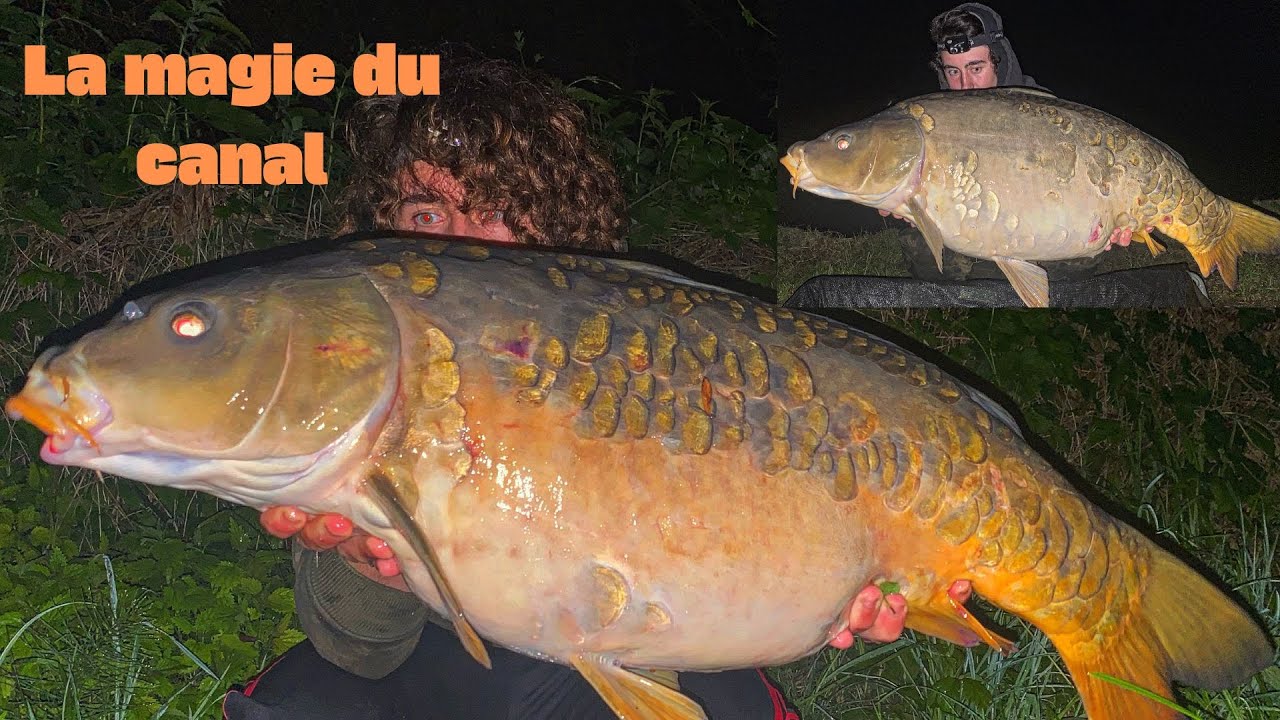 La magie du canal - Pêche de la carpe