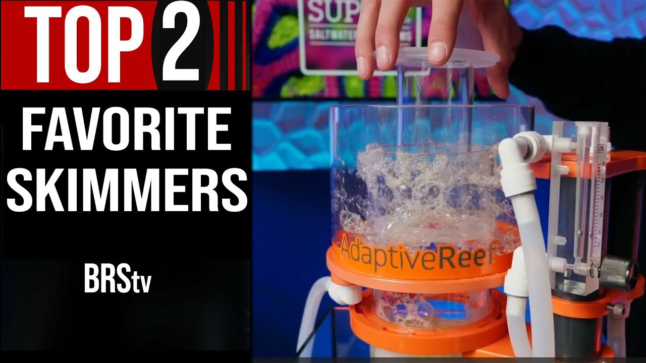 Remove Nasty Saltwater Fish Poo With Thomas&rsquo; Favorite Protein Skimmers!