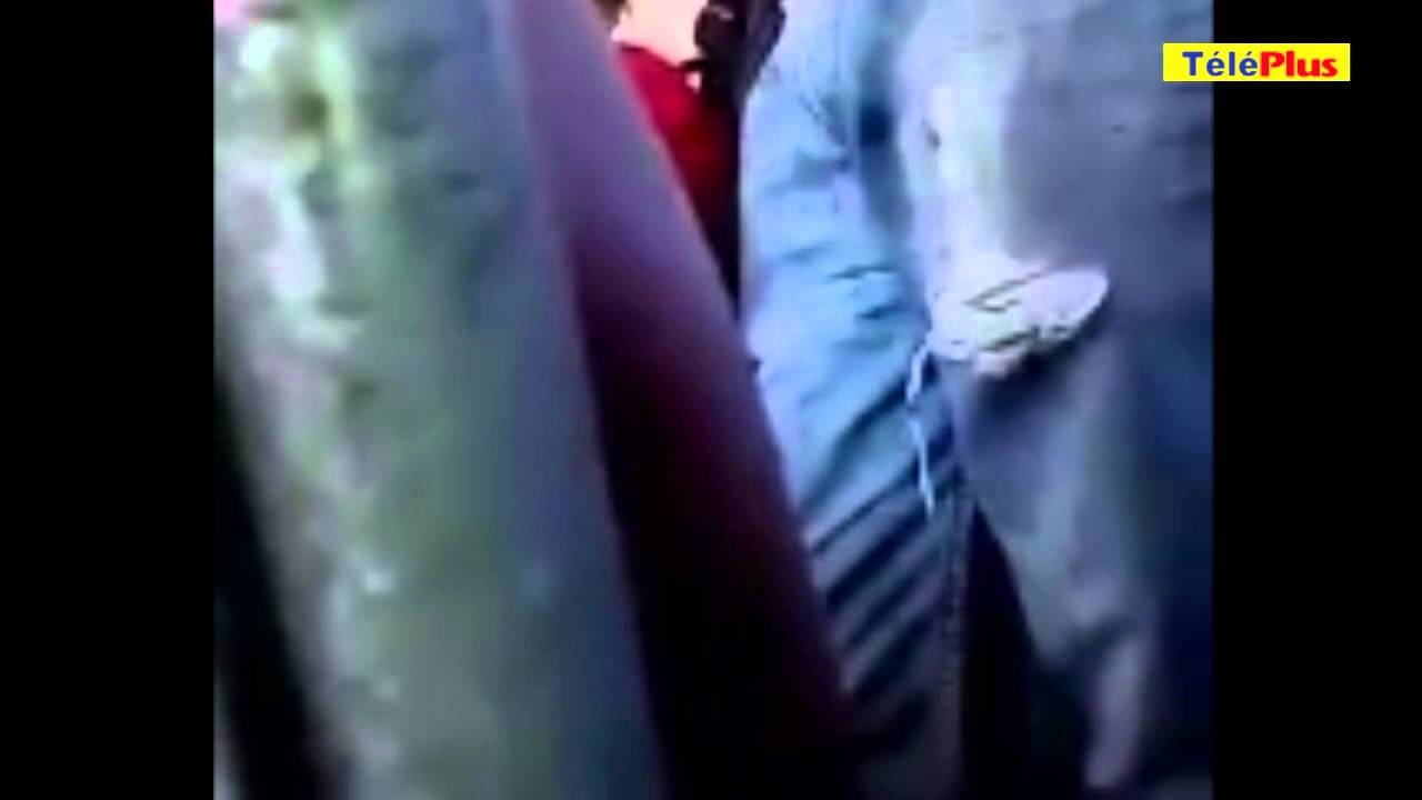 À GRNO vif accrochage entre un passager et une receveuse d’autobus
