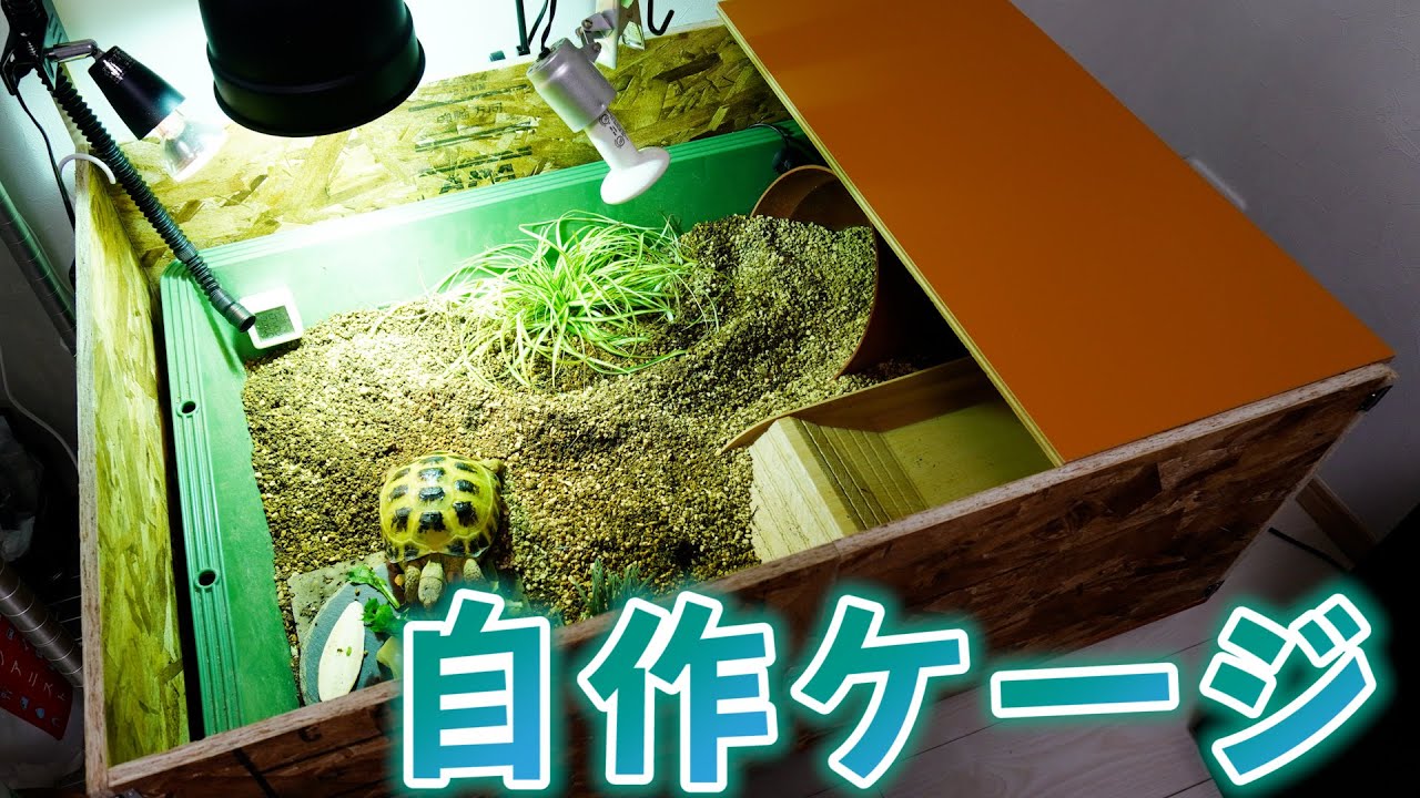 【格安DIY】リクガメが脱走したので大型爬虫類ケージを自作して閉じ込めました【トロ舟×木材】
