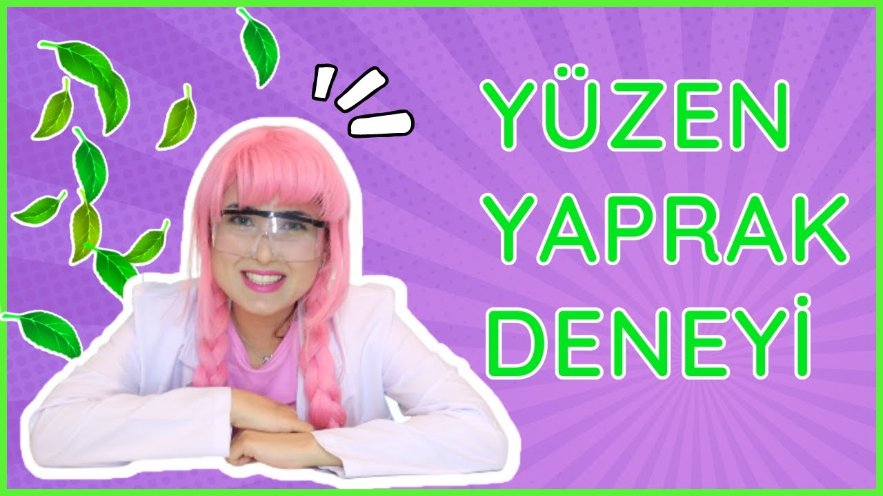 Yüzen Yaprak Deneyi - Yüzey Gerilimi Konusu Deneyi
