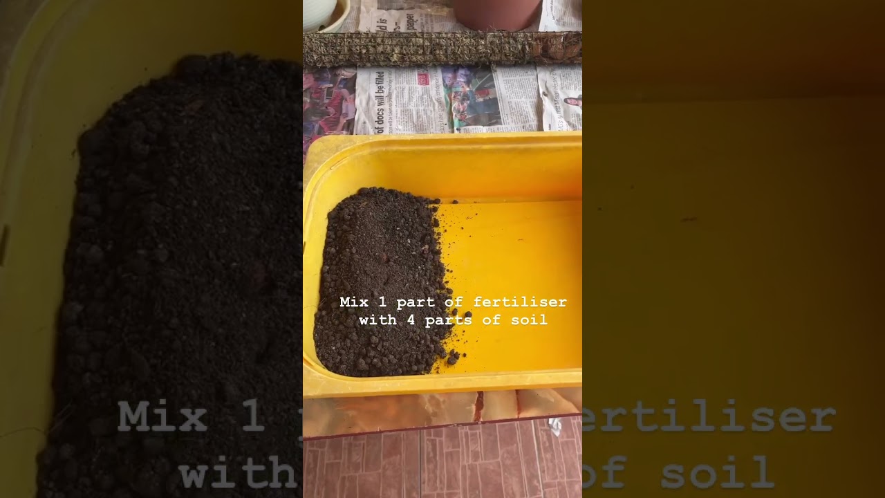 🌼 Healthy Plants Start Here: Soil + Fertilizer Mixing | Quick Tutorial