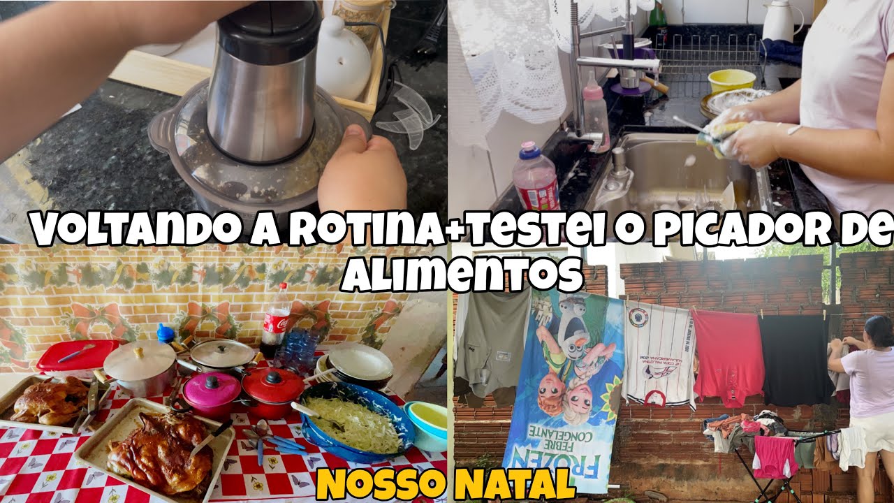 VLOG/ROTINA DE LIMPEZA COM A CASA APÓS O NATAL + TESTEI MEU NOVO TRITURADOR