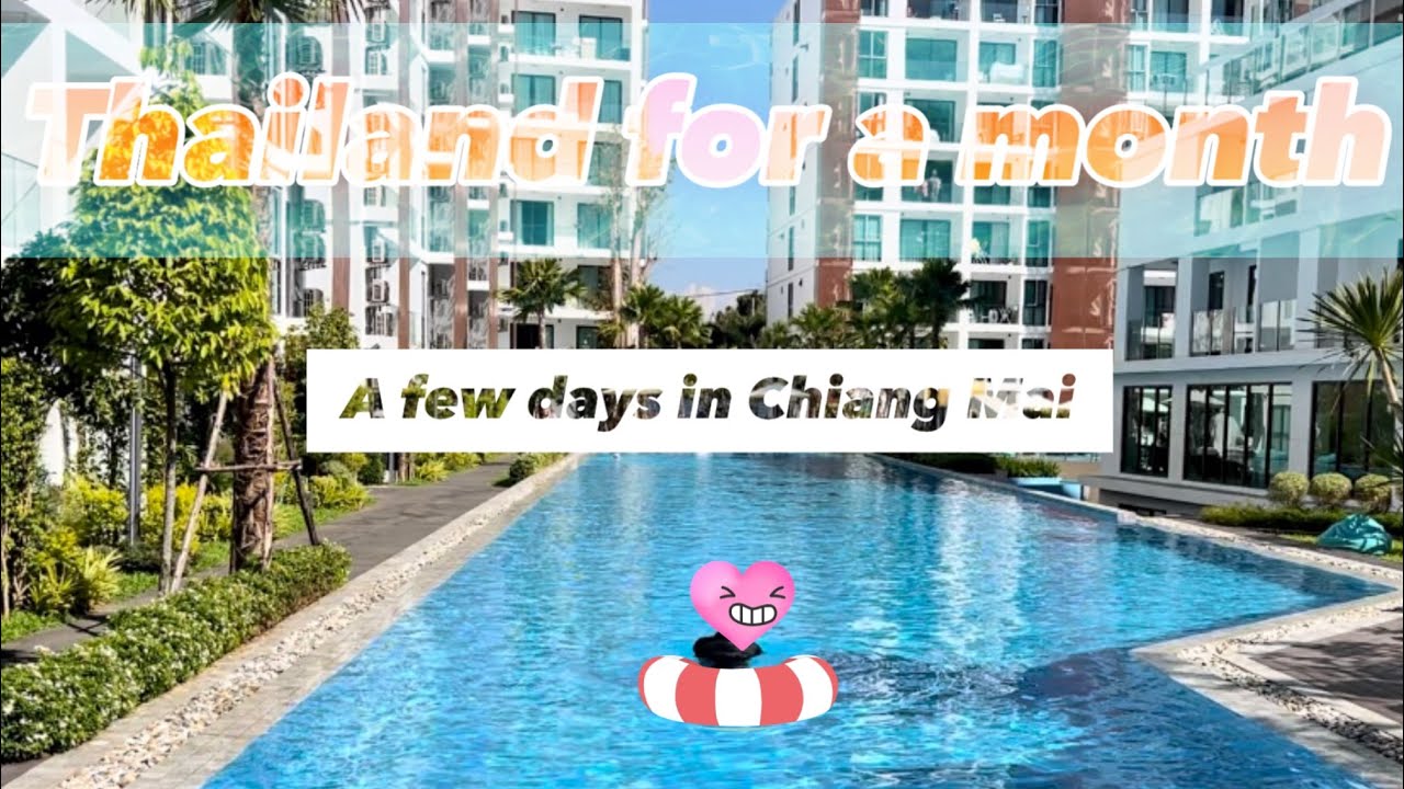 🇹🇭태국한달-ChiangMai 디지털노마드 성지 치앙마이2️⃣ 치대다니는 애들 부럽당