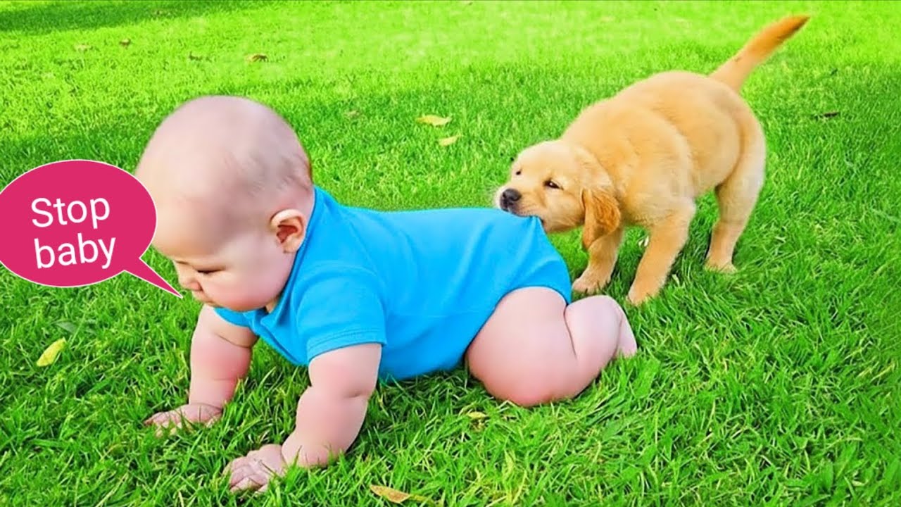 TRY NOT TO LAUGH: Best Funniest of Twin Babies Compilation|| Cool Peachy trending 