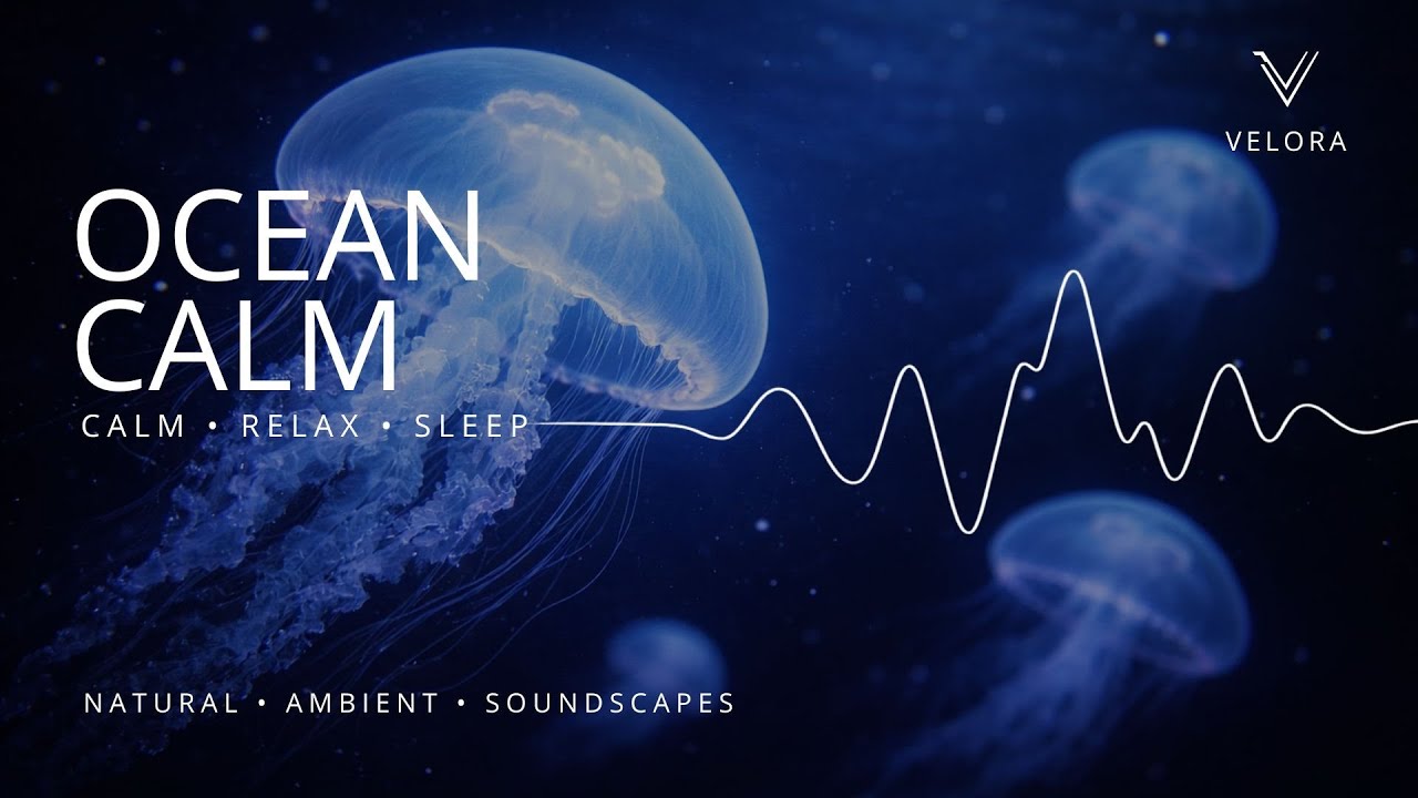 Peaceful Jellyfish Ocean | Relaxing Nature Ambience (1 Hour)