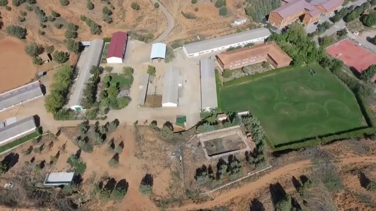 Formación Profesional - Actividades Físicas y Deportivas