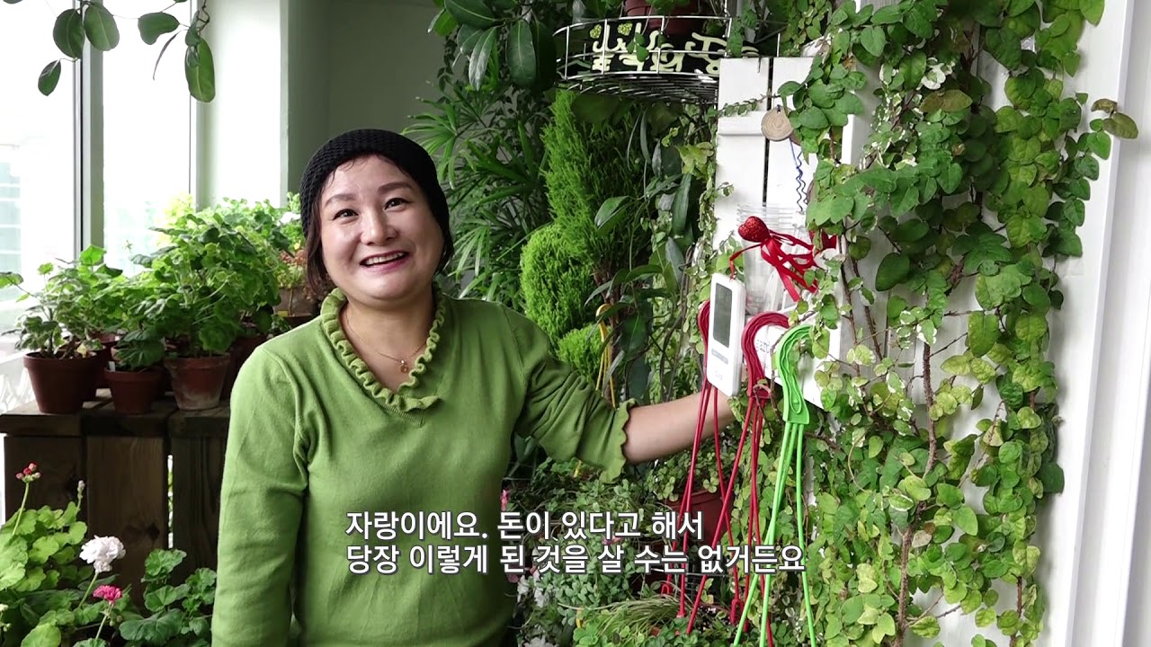 Obs 이것이인생 살맛나는세상 베란다 정원을 가꾸는 여자 방송 원본 파일