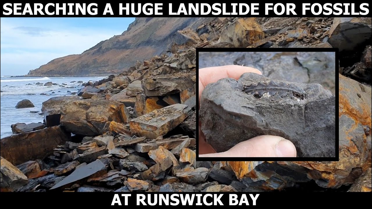 #fossilhunter finds #JURASSIC #fossils in a massive landslide