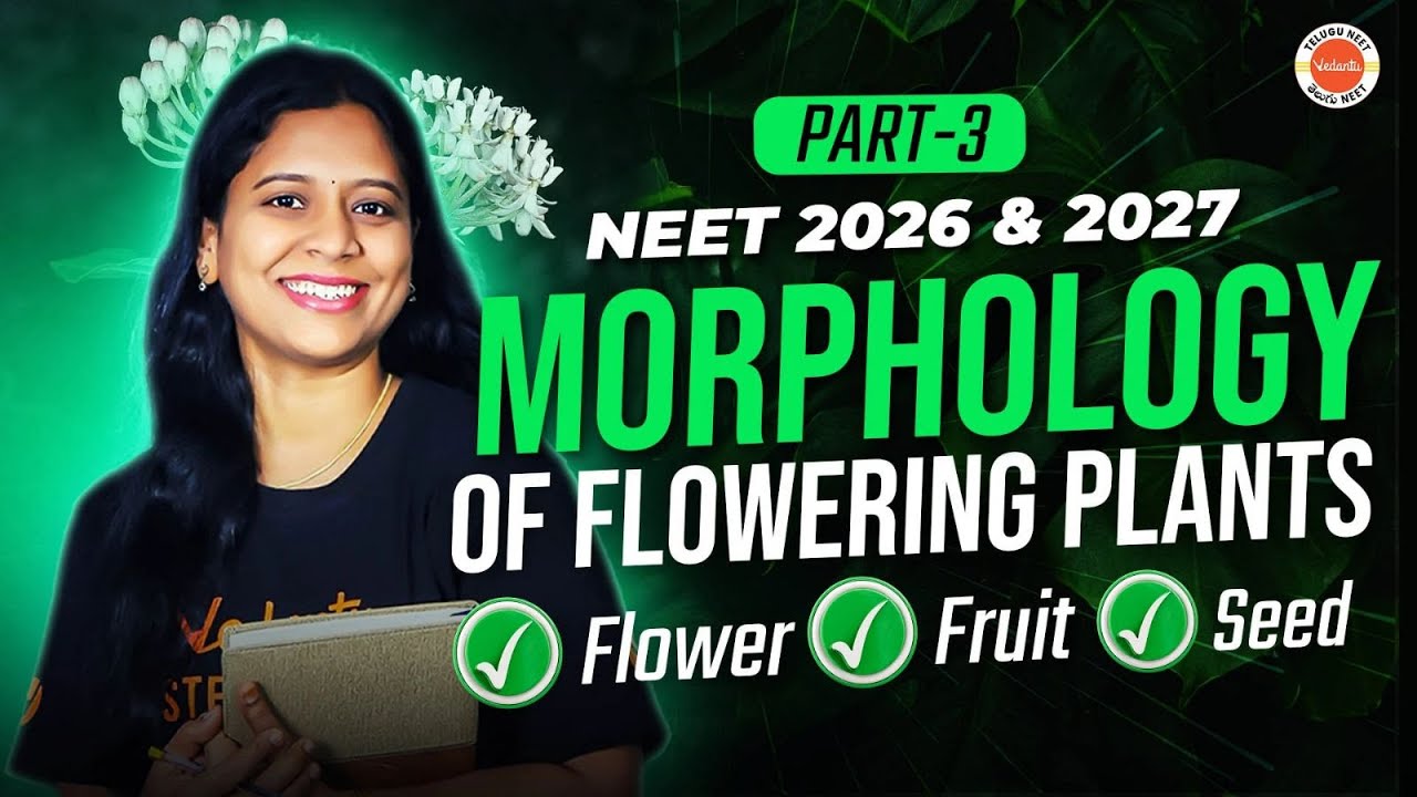 🌸Morphology of Flowering Plants | part- 3 | NEET Biology | Sunaina Ma'am