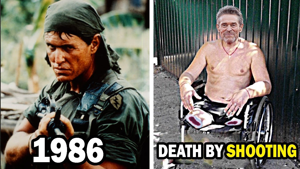 Platoon (1986) Cast Then and Now, You'd Never Recognize!