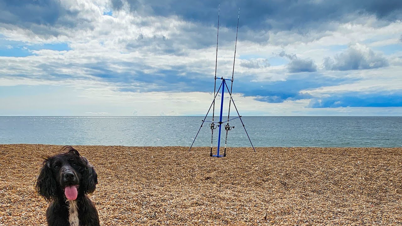 Great day fishing Chesil beach at Abbotsbury