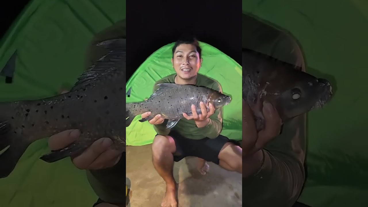 ដំណើរកំសាន្តបោះតង់រកត្រីហូបនៅលើកោះ
