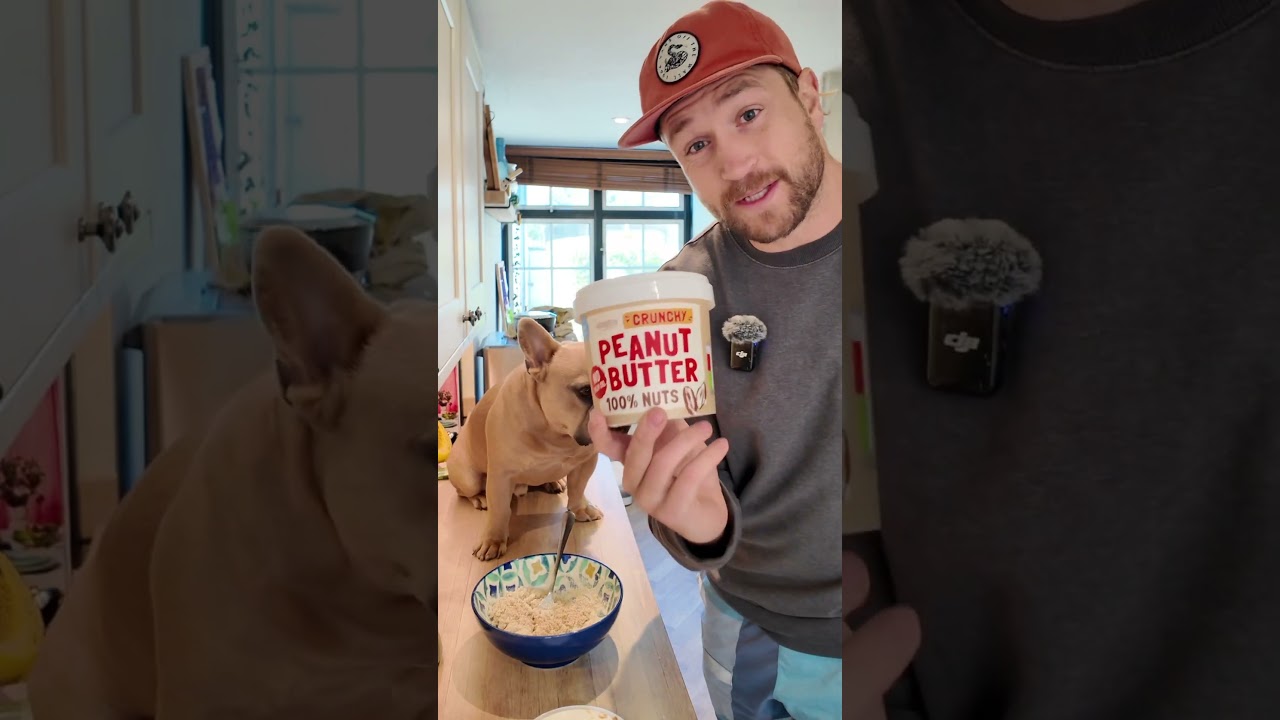 Dog friendly cookie recipe 🍪 