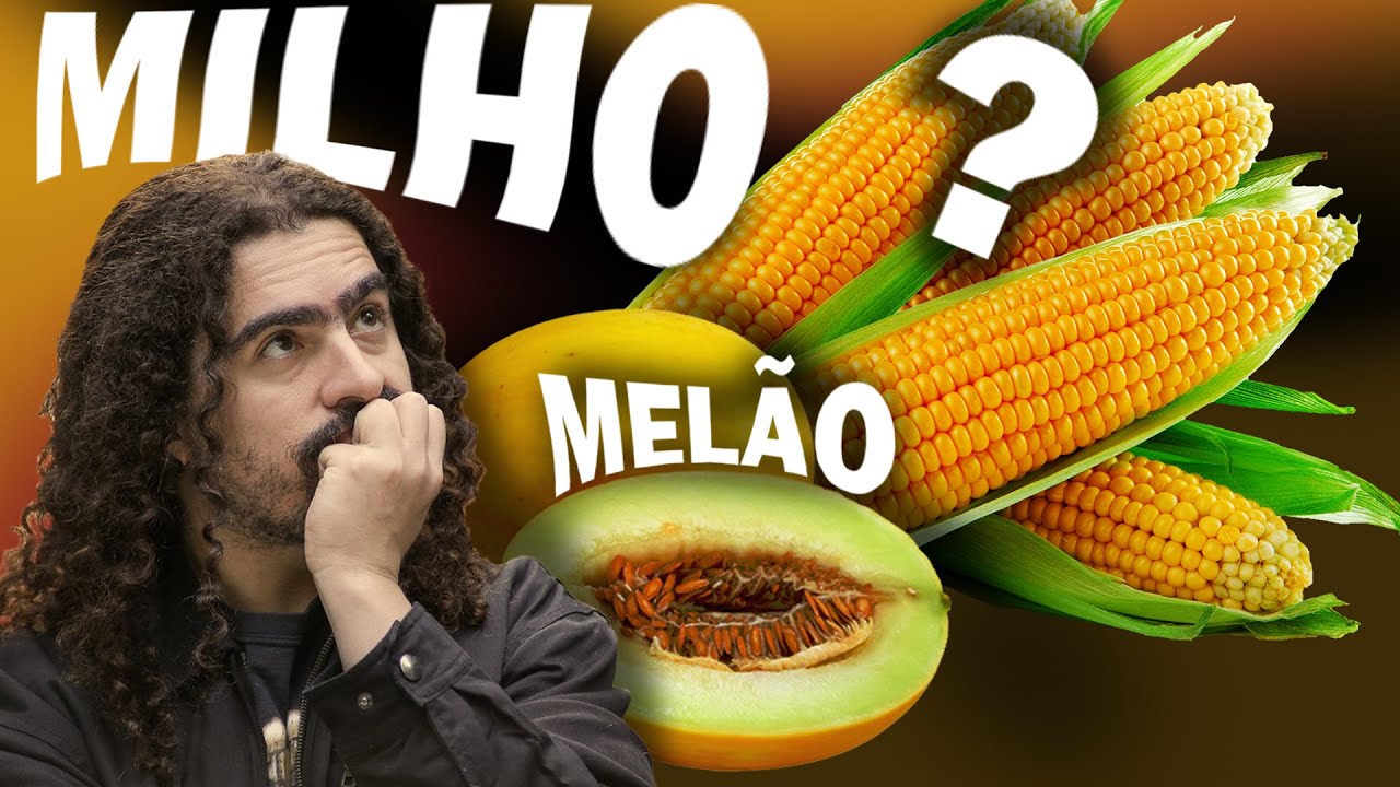 QUAL A ORIGEM DO MILHO? (e do melão) (#Pirula 357)