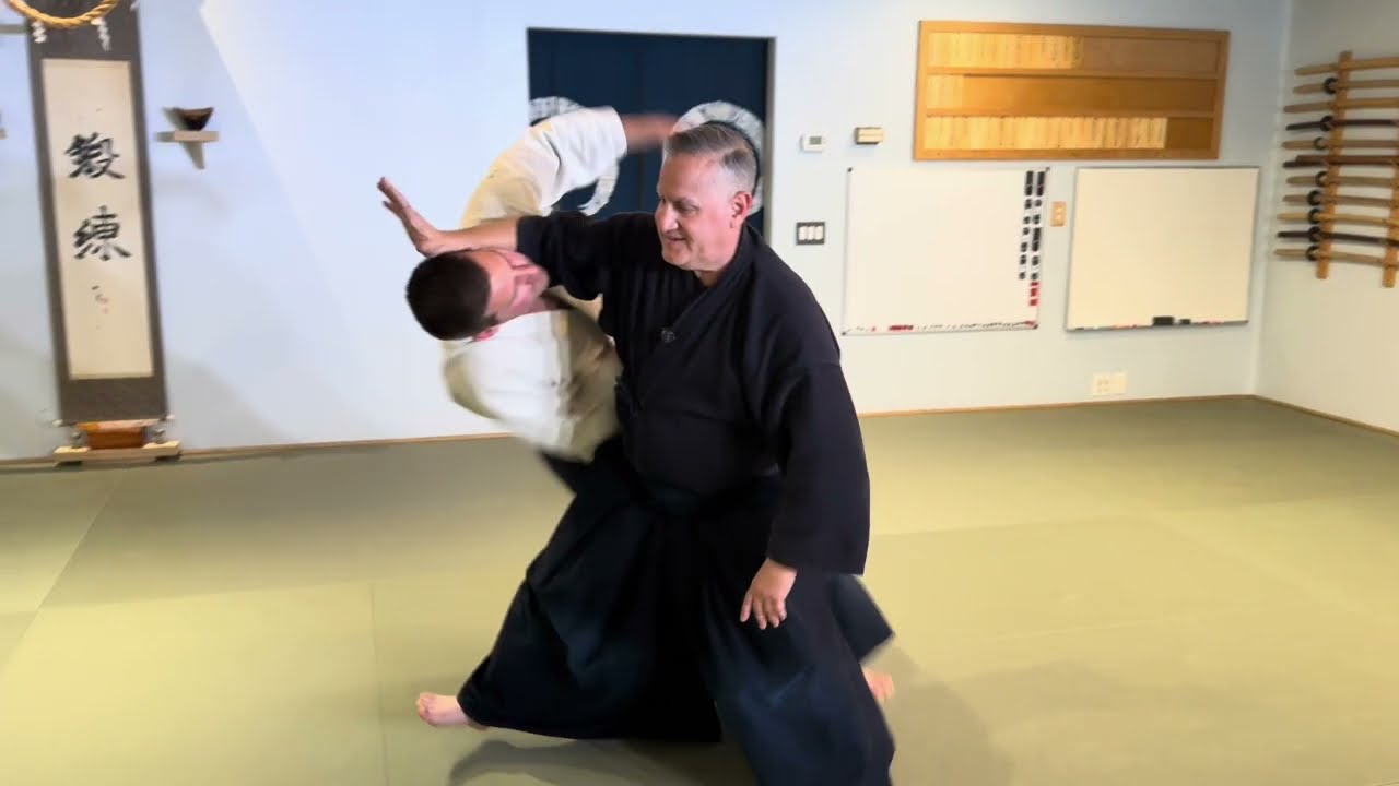 Aikido: Understanding Senshin Aikido's 