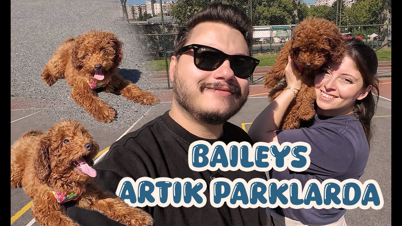 KÖPEĞİMİZİ İLK DEFA DIŞARI ÇIKARDIK I Park Maceramız 🛝🌸