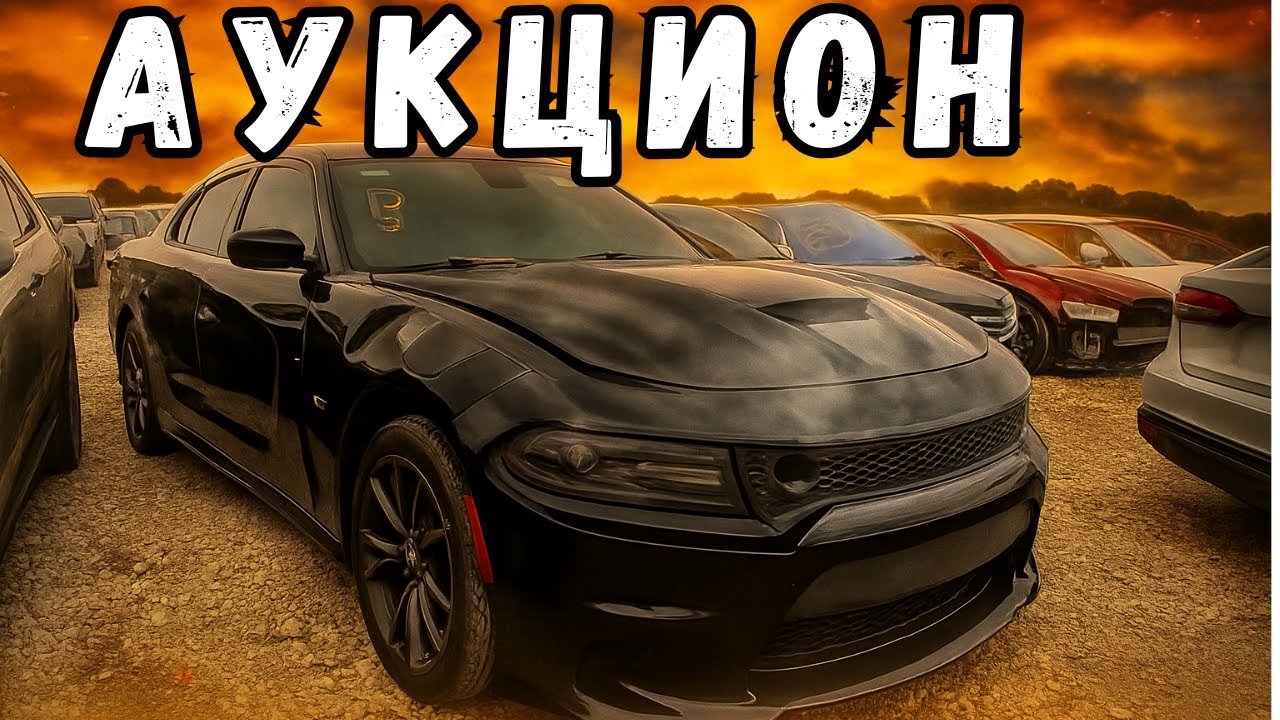 🚗 Что можно найти на аукционе Copart? Как выбрать машину с прибылью ⚠️