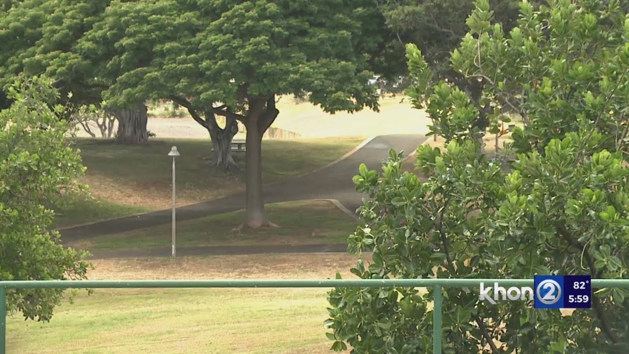 Parks above freeways in the works for Hawaii