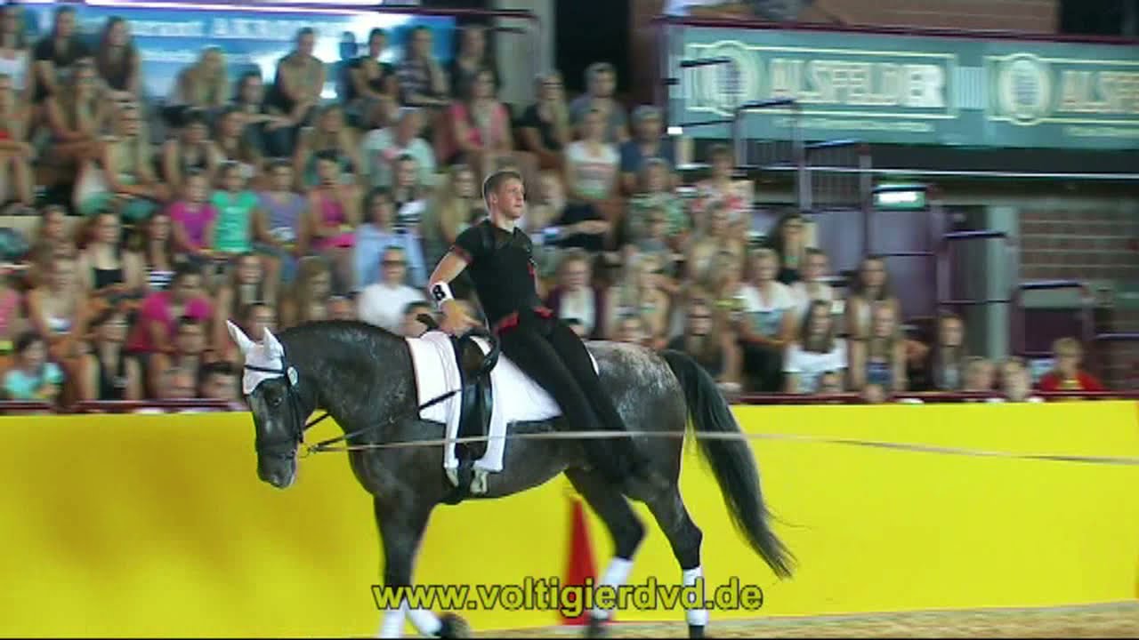 Jonas Breuer - WEF - DVM Alsfeld 2015 - Male - 10