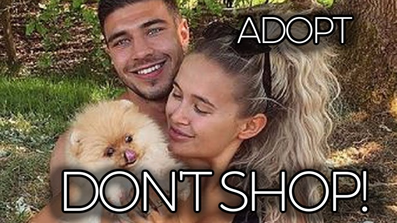 Love Island's Molly-Mae Hague's Dog Dies Days After Being Delivered From Russia