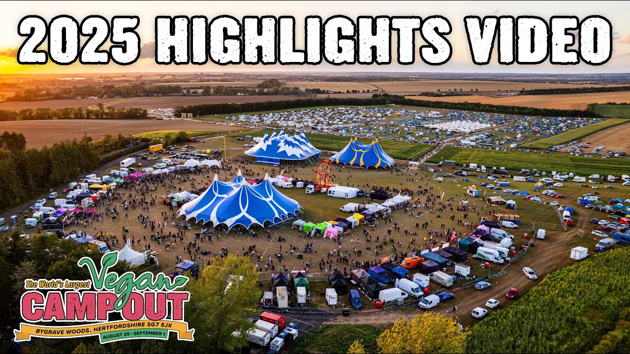 Vegan Camp Out 2025 - Official Highlights Video
