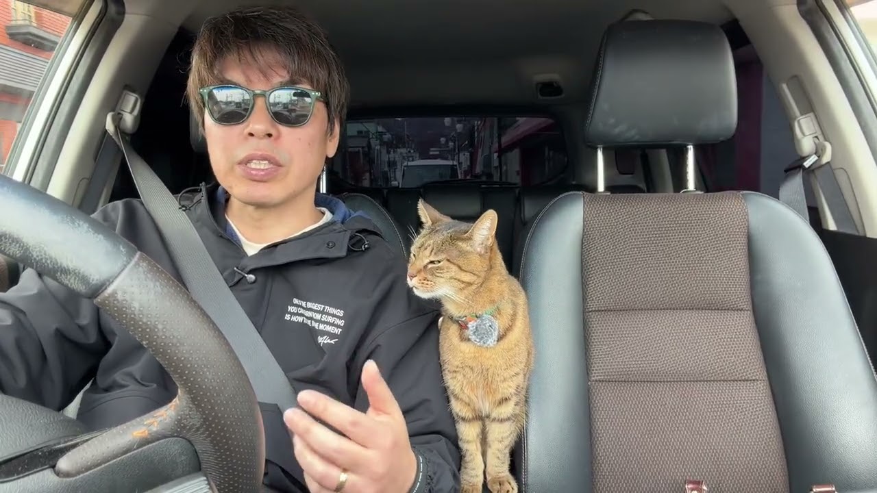 運転免許証の更新