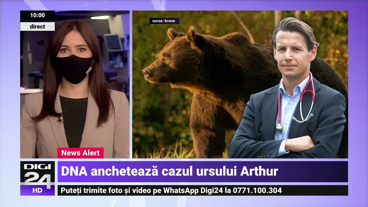 DNA a &icirc;nceput o anchetă penală &icirc;n cazul &icirc;mpușcării ursului Arthur