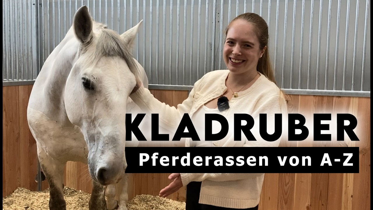 Pferderassen von A-Z | Kladruber - Diese Pferde prägen die europäische Geschichte