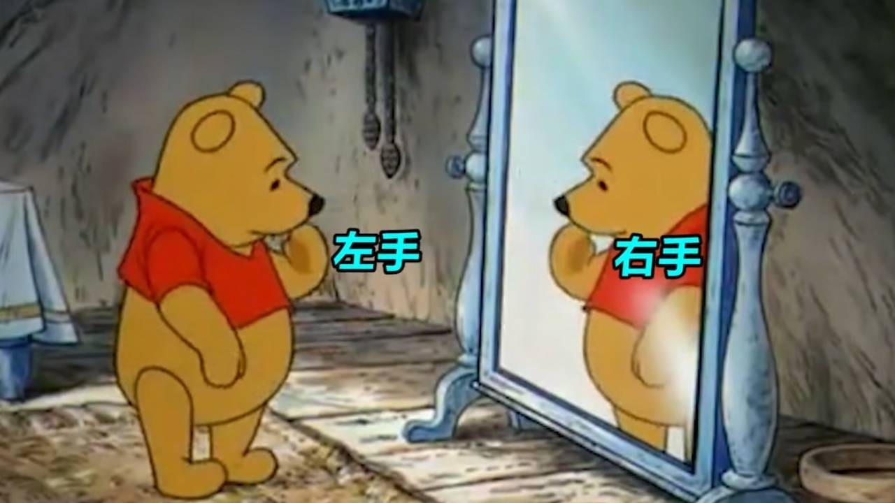 一个让人疑惑多年的问题：为什么镜子会左右颠倒，不会上下颠倒？【冷科普】