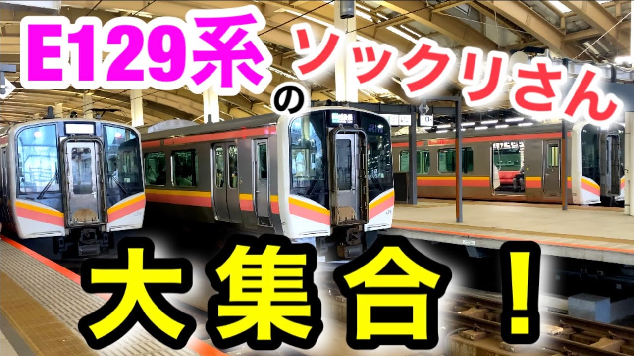 E129系にソックリな車両大集合！