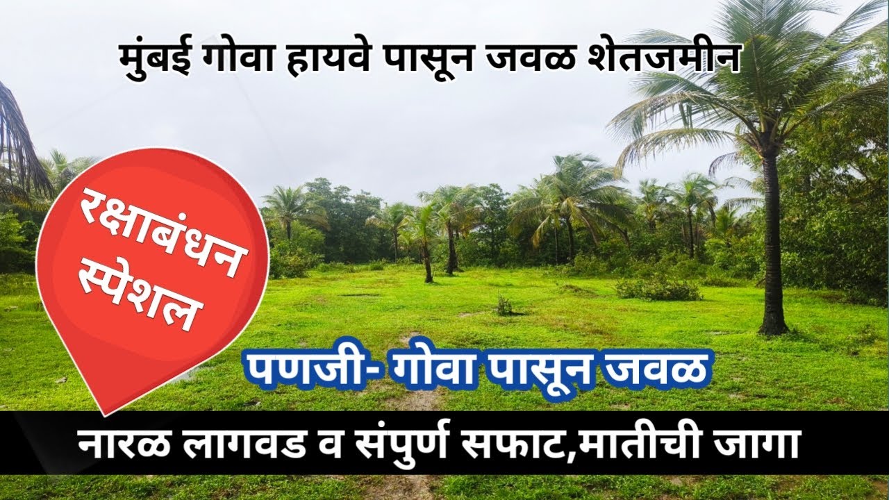 संपुर्ण मातीची, कसदार शेती ! वाडी वस्तीत, संपुर्ण सफाट शेतजमीन ! Coconut orchard farmland.