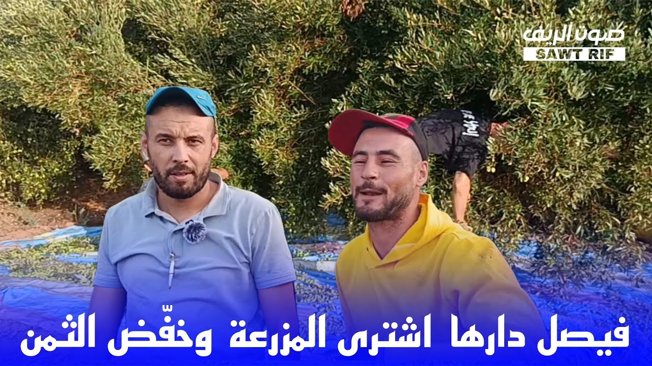 فيصل مول الزيتون يفاجئ الجميع.. اشترى مزرعة زيتون وهذا هو السبب وراء ثمن 300 درهم.