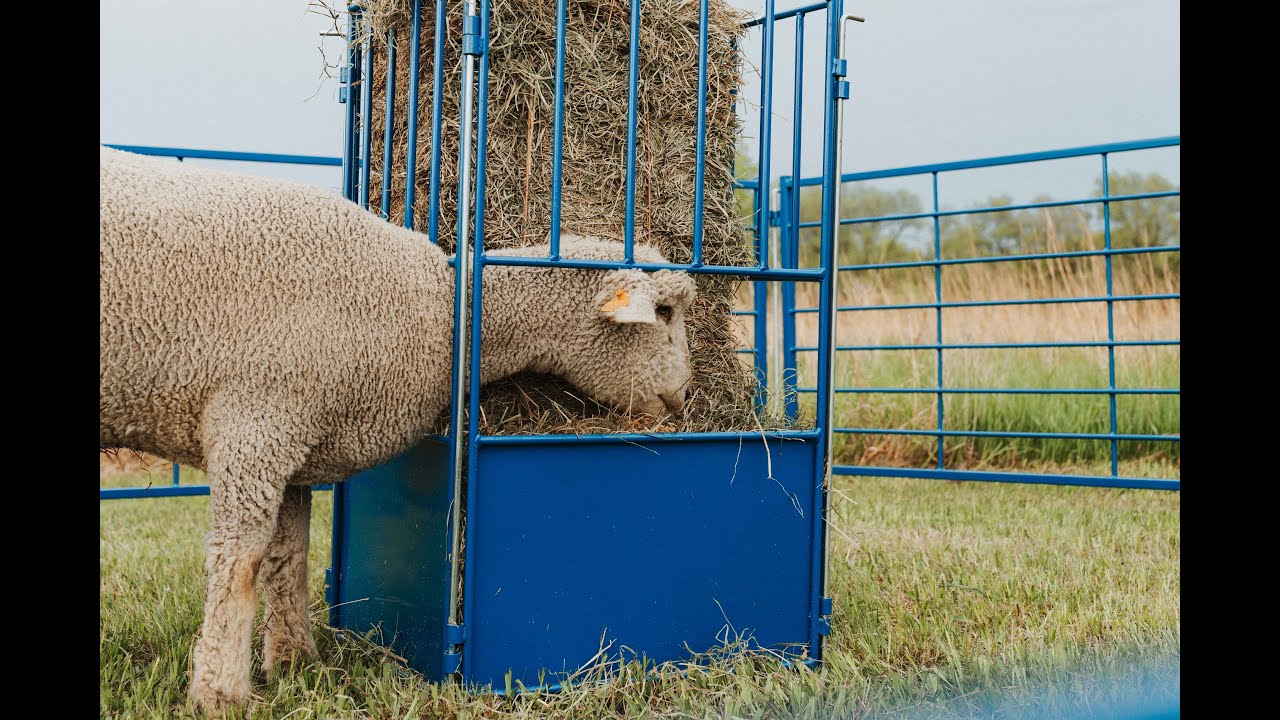 Sydell sheep and goat Sectional Small Hay bale  Feeder 812
