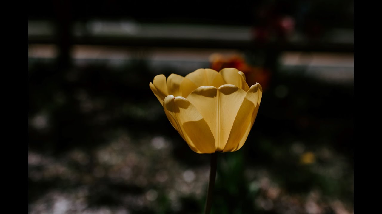 [4.92 ⭐] OWbin | midwxst - Smile [Insane] +SV2HDHRSD 94.44%