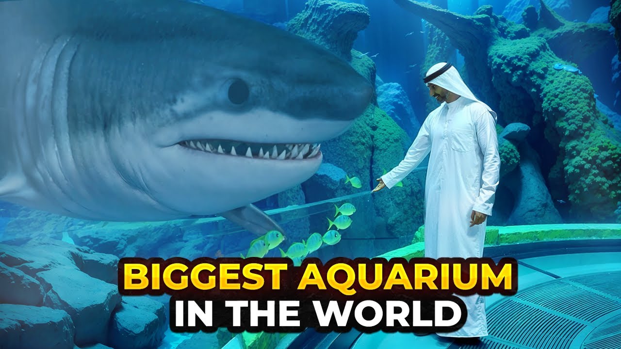Swimming with Sharks? The WORLD'S LARGEST Aquarium in Dubai!