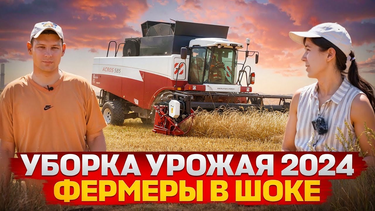 🔴 УБОРКА УРОЖАЯ 2024 НАЧАЛО / Что с урожаем в этом году?