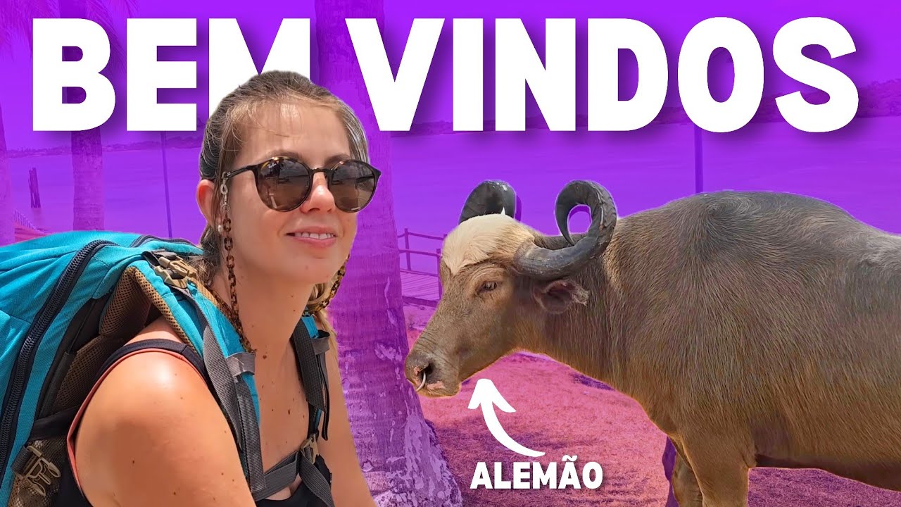 Chegamos na Ilha do Marajó e foi isso que encontramos | T2 Ep 293