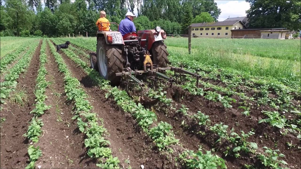 Erlebnisbauernhof Grödig Kartoffeln setzen Teil 2