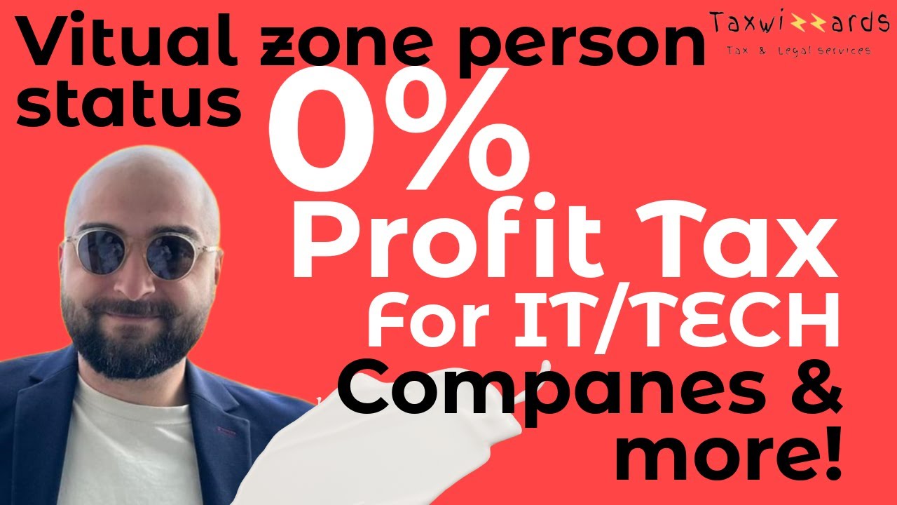 How IT Companies Thrive in Georgia: The Virtual Zone Person status