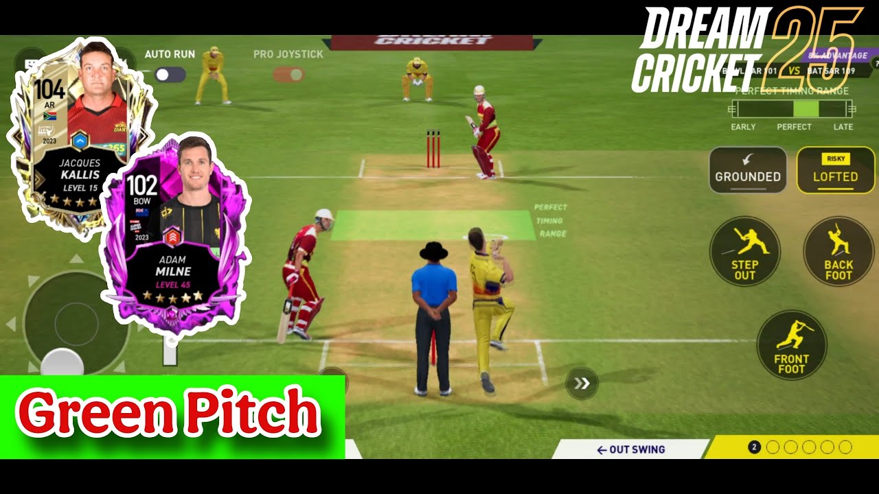 Dream Cricket 2025 rank push tips to top 100