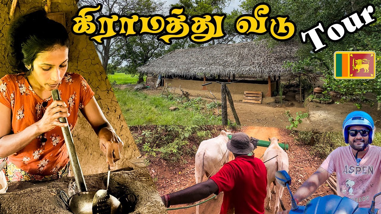 இதெல்லாம் மறந்துட்டோம் 🥺 கிராமத்து வீடு Tour 🇱🇰 | Tamil Navigation Sri Lanka