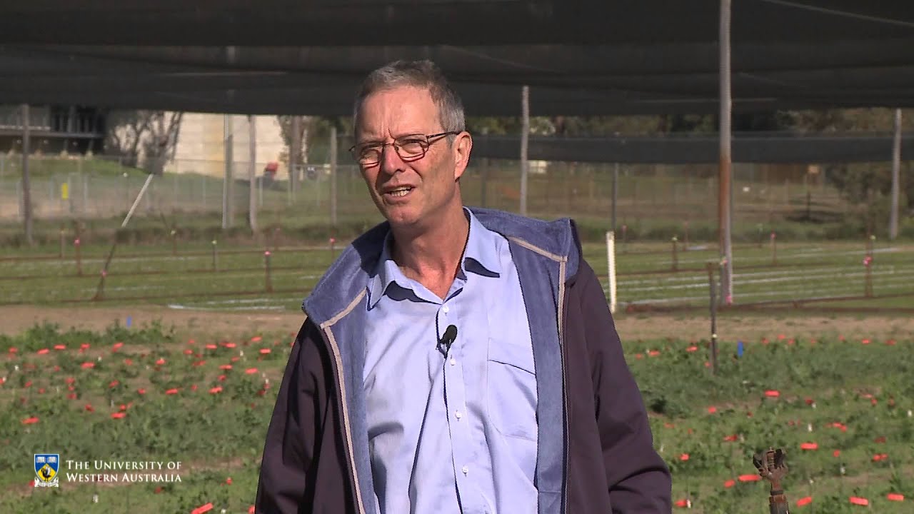 Seeds of Life: food security in Timor Leste