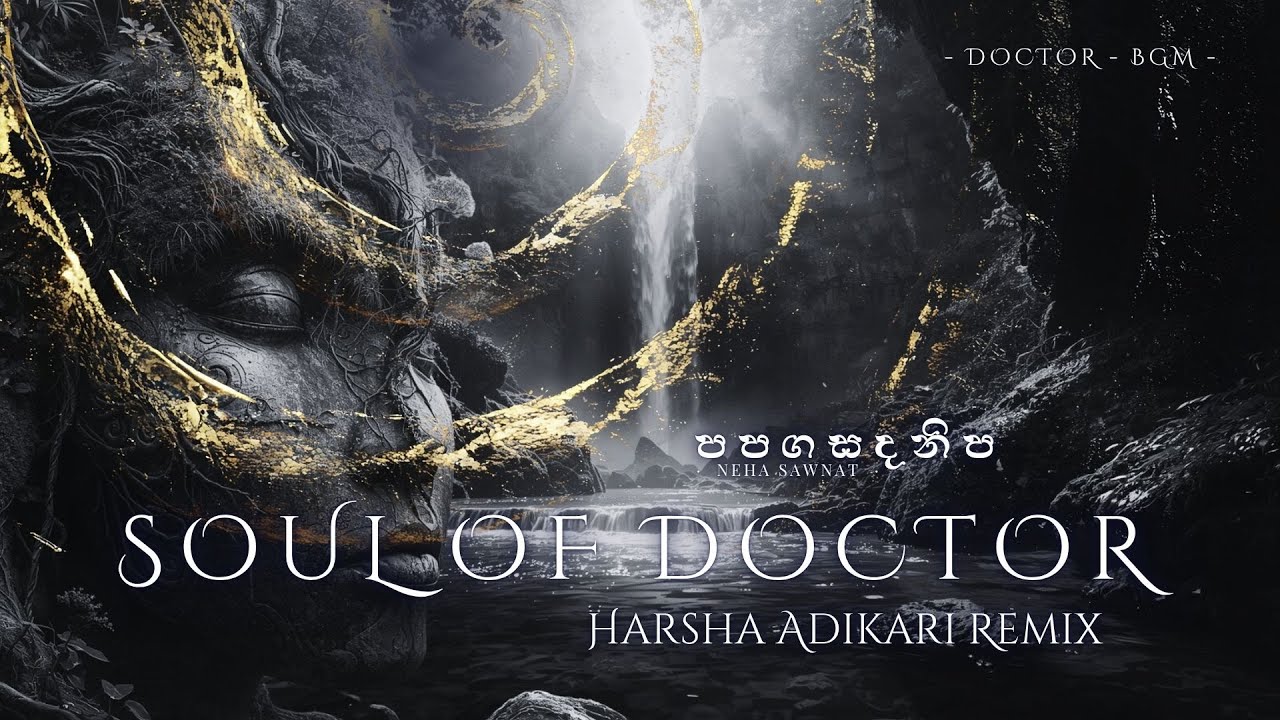 Soul of Doctor (BGM) | Neha Sawant - Harsha Adikari Remix